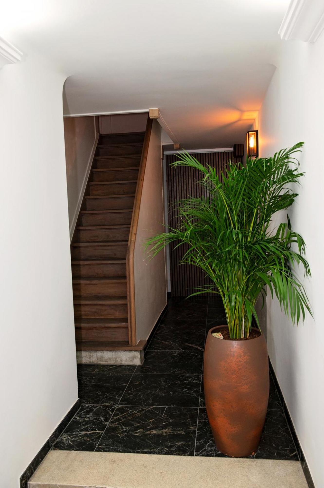 Botanique Suites Airbnb, Antwerpen Buitenkant foto